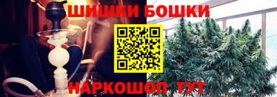 крисы Малгобек