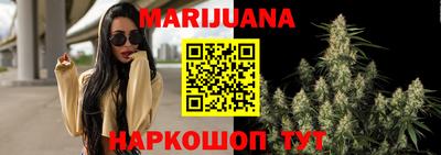 крисы Малгобек