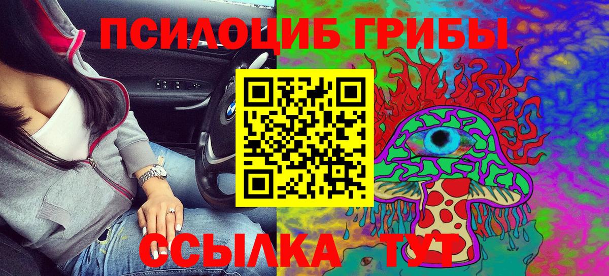 Энгельс  Галлюциногенные грибы Psilocybe  магазин  наркотиков  Вход с VPN 